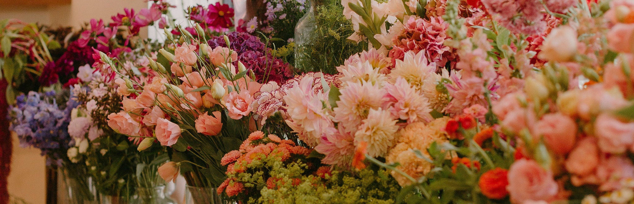 Ebnn2386 d4f54de0 4ffd 49fd 8450 883832534d7f