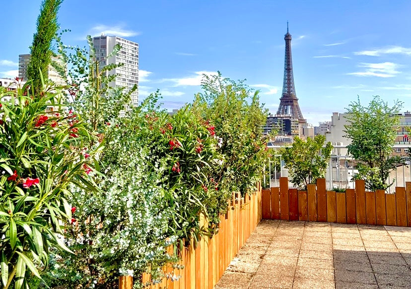 Poeme photo amenagement jardin terrasse