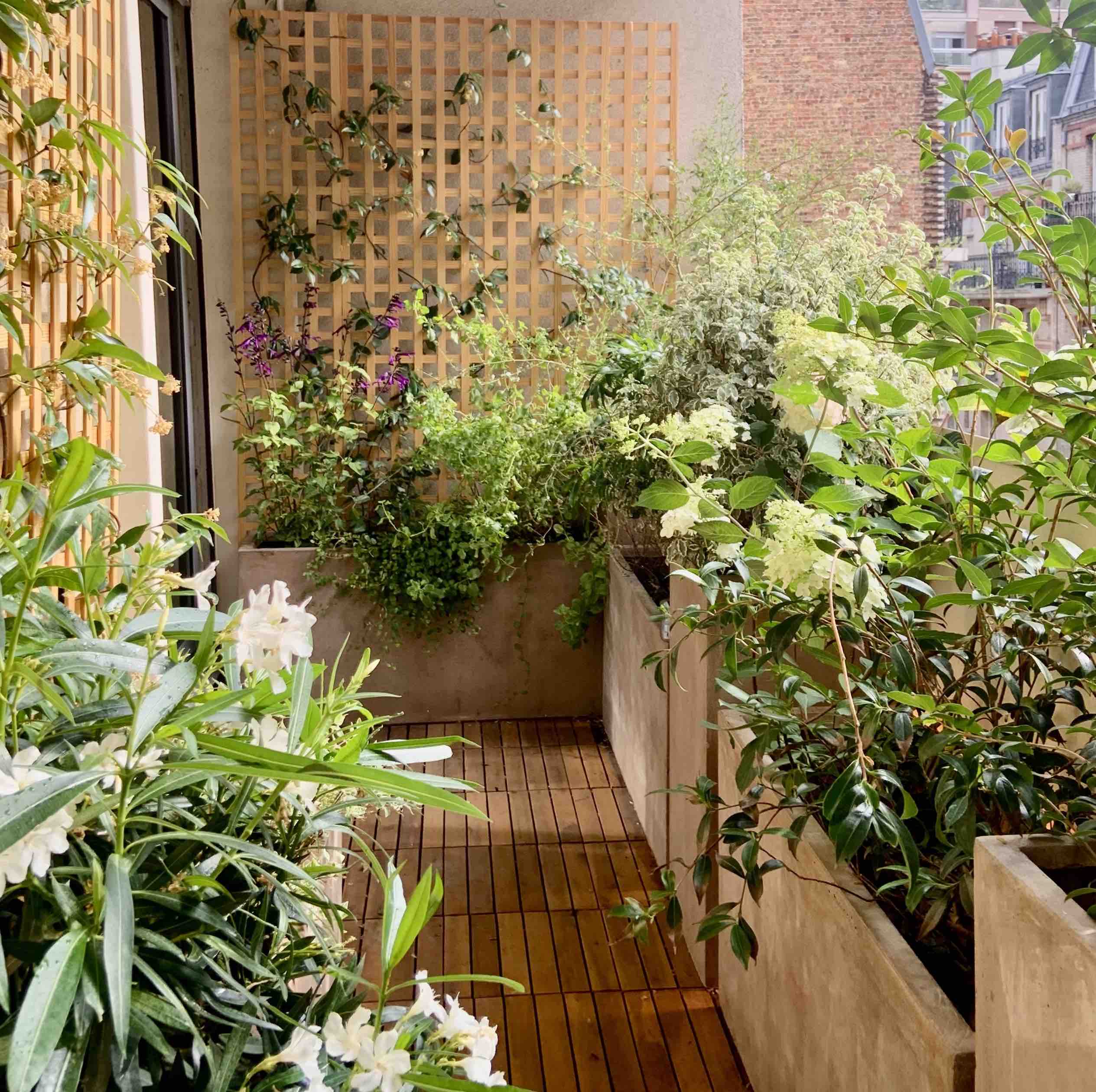 Jeannot en ville amenagement balcon lamarck main